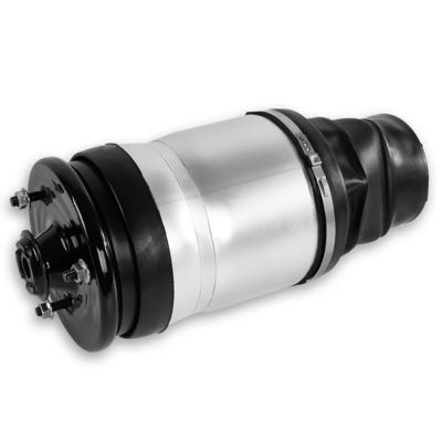 Holen Sie sich die beste Discovery 3&amp;4 Air Spring Rückseite L/R RPD501110