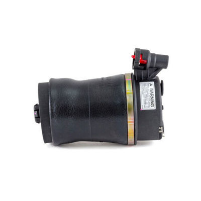 Hohe Leistung für Ford Hinterluftfeder Brandneu 17610025-101, 17610025-102