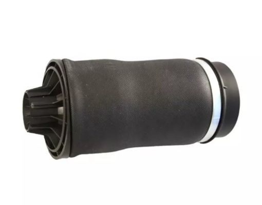 W251 Luftfeder nach hinten