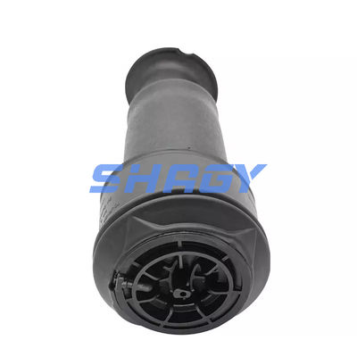 Für Mercedes Citroen C4 hinten 96819460805102 GN5102R8 Luftfeder
